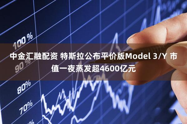 中金汇融配资 特斯拉公布平价版Model 3/Y 市值一夜蒸发超4600亿元