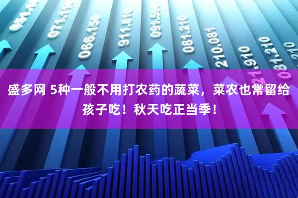 盛多网 5种一般不用打农药的蔬菜，菜农也常留给孩子吃！秋天吃正当季！