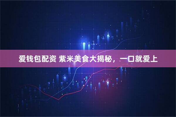 爱钱包配资 紫米美食大揭秘，一口就爱上